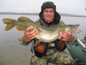 IMG_3929.JPG