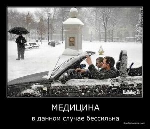 1328256007_035.jpg