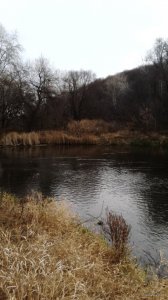 IMG_20141116_101543.jpg