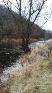 IMG_20141116_101559.jpg