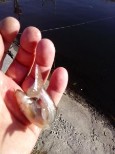 IMG_20141121_105902.jpg