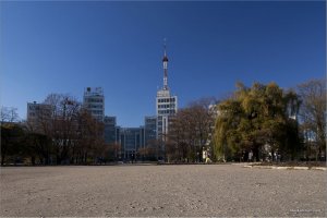 IMG_7718 копия.jpg