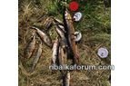 кружки4.jpg