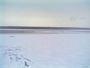 281120141310.jpg