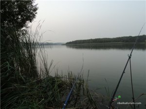 b07466dfd1b6.jpg