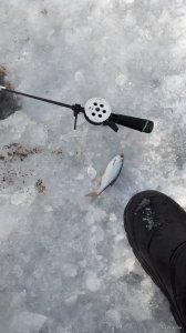 20141202131948.jpg