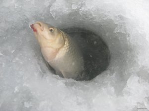 IMG_8148.JPG
