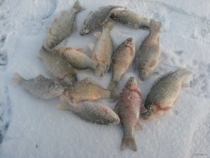 IMG_8149.JPG