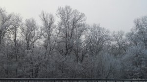 image-2e19a4622a8fb319044394ed67e600aafcc94ea55bc1115807ccbc5bd9e2d52d-V.jpg
