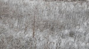 image-a9fad9ace24bc172177061374f192d8c47907ee2cfdd00962d21c4fd365c32b1-V.jpg