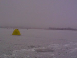 IMG_20141206_091106.jpg