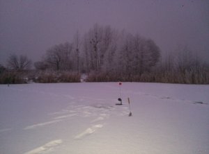 IMG20141206064652111.jpg
