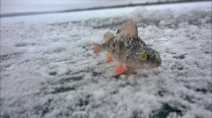 WP_20141207_012.jpg