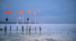 WP_20141207_009.jpg