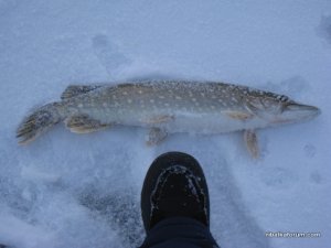 IMG_0476.JPG