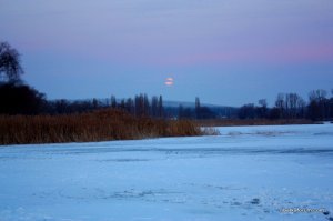 Копия mko 039.jpg