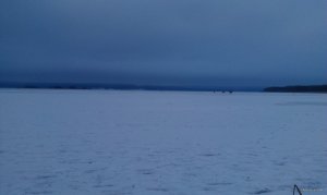 IMAG0156.jpg