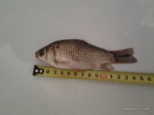 20141210_213635.jpg