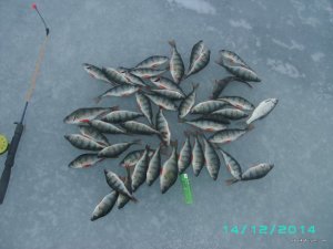 PICT0034.JPG