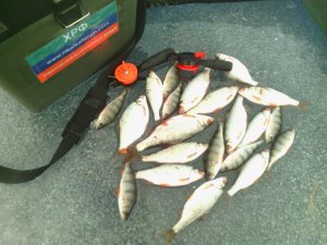 IMG_20141214_142723[1].jpg