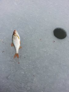 20141214_132942.jpg