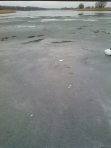 IMG_20141218_115051.jpg