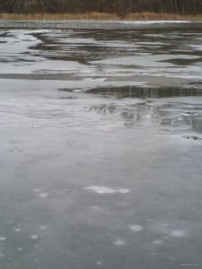 IMG_20141218_115130.jpg