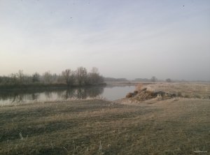 IMG20141219084349285.jpg
