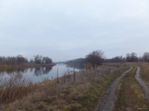 2014-12-19 13-19-16.JPG
