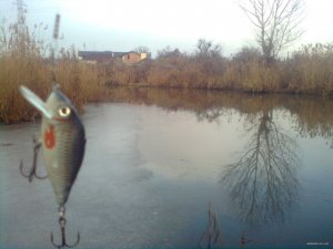 004.jpg