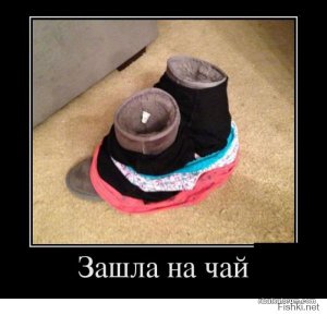 9782eda44494d4d5c6e36fd70e4ee551.jpg