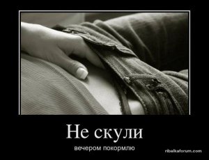 e63f795ec52d.jpg