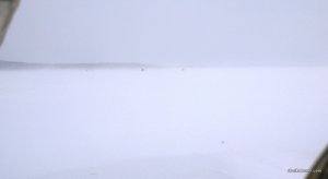 WP_20141228_049.jpg