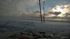 WP_20141228_064.jpg