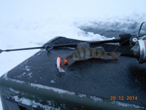 DSCN2648.JPG