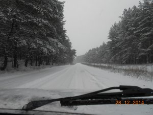 DSCN2655.JPG