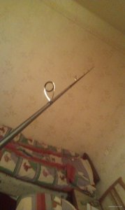 IMAG0577.jpg