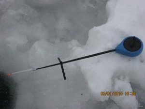 IMG_2687.JPG