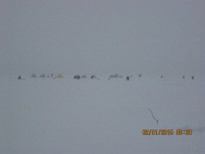 IMG_2684.JPG
