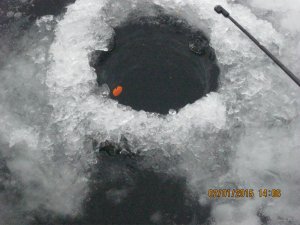 IMG_2685.JPG