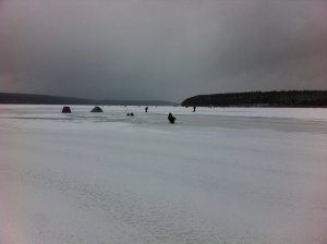 IMG_1071.JPG