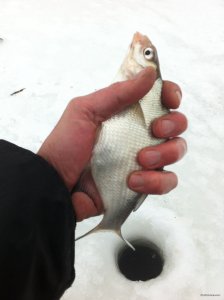 IMG_1070.JPG