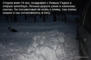 23234 001.jpg