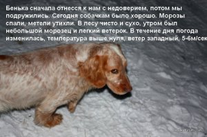 23234 026.jpg