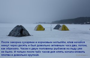 23234 009.jpg