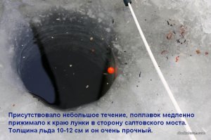 23234 013.jpg
