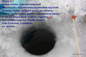 23234 014.jpg
