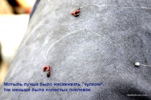 23234 017.jpg