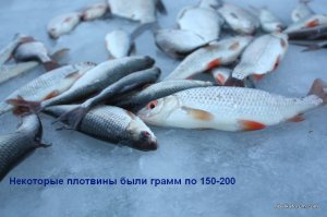 23234 021.jpg