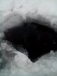 DSC_0147.jpg